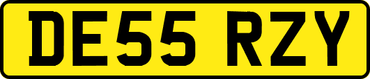 DE55RZY
