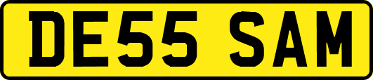 DE55SAM