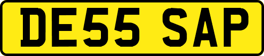 DE55SAP