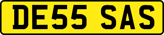 DE55SAS