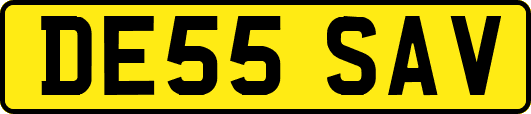 DE55SAV