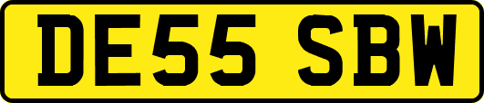 DE55SBW