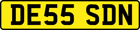 DE55SDN