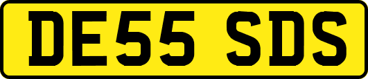 DE55SDS