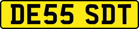 DE55SDT