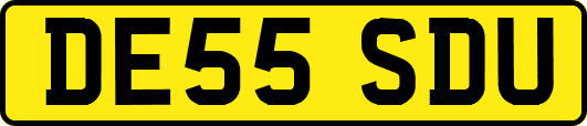 DE55SDU