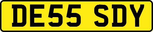 DE55SDY