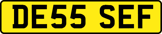 DE55SEF
