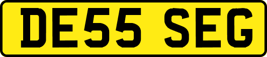 DE55SEG