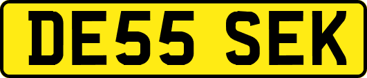 DE55SEK