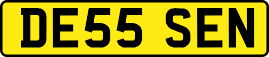DE55SEN