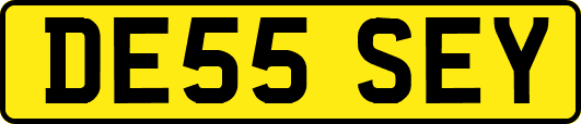DE55SEY