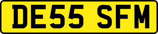 DE55SFM