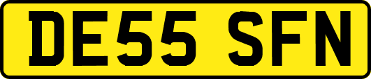DE55SFN