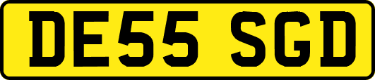DE55SGD