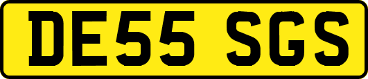 DE55SGS