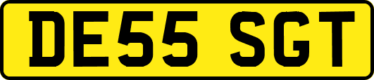 DE55SGT