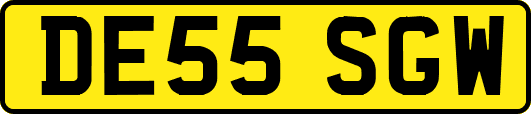 DE55SGW