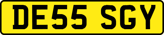 DE55SGY