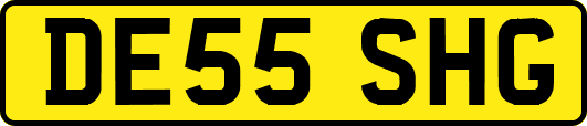 DE55SHG