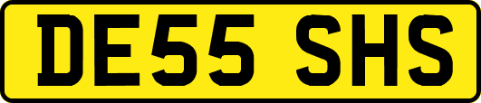 DE55SHS
