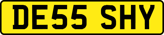DE55SHY