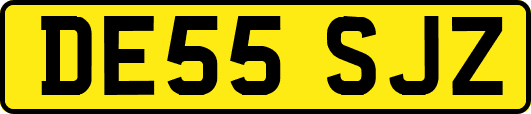 DE55SJZ