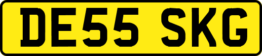 DE55SKG