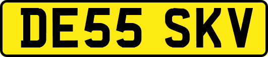 DE55SKV