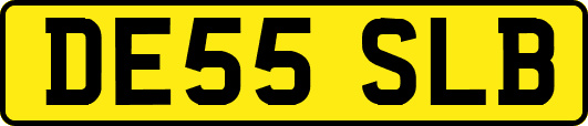 DE55SLB