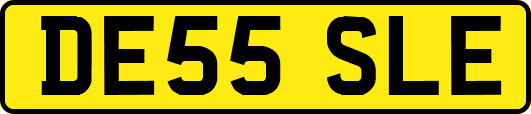 DE55SLE