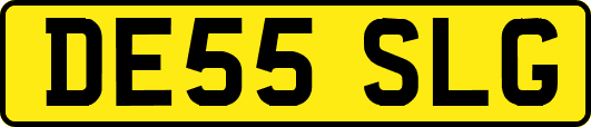 DE55SLG