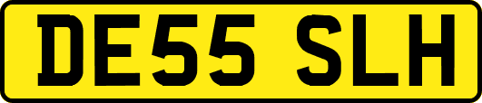 DE55SLH