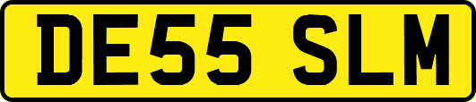 DE55SLM