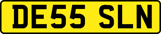 DE55SLN