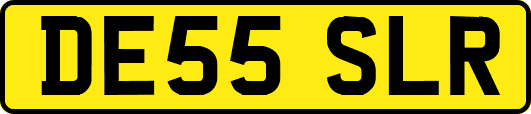 DE55SLR