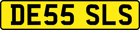 DE55SLS