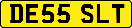 DE55SLT
