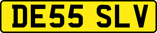 DE55SLV