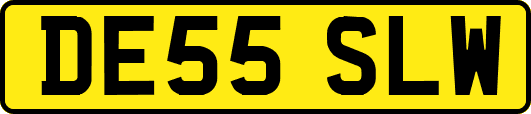 DE55SLW