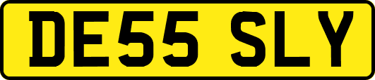 DE55SLY