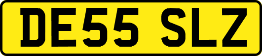 DE55SLZ