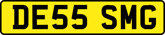 DE55SMG