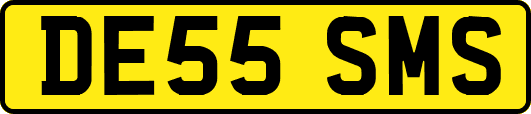 DE55SMS