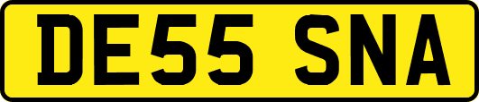 DE55SNA