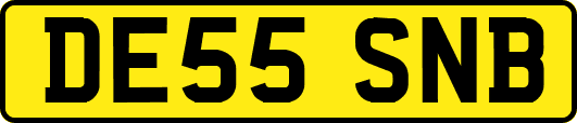 DE55SNB
