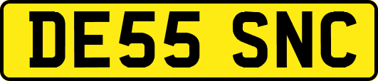 DE55SNC