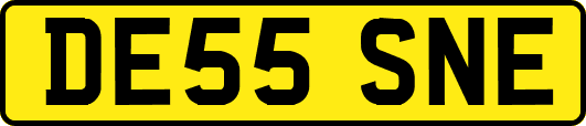 DE55SNE
