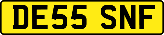 DE55SNF