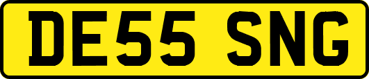 DE55SNG